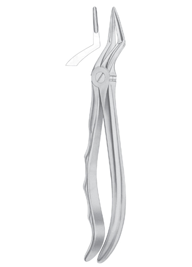 Fig. 51L upper roots 